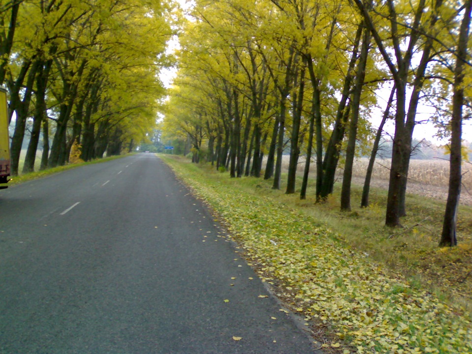 Залізяки 3