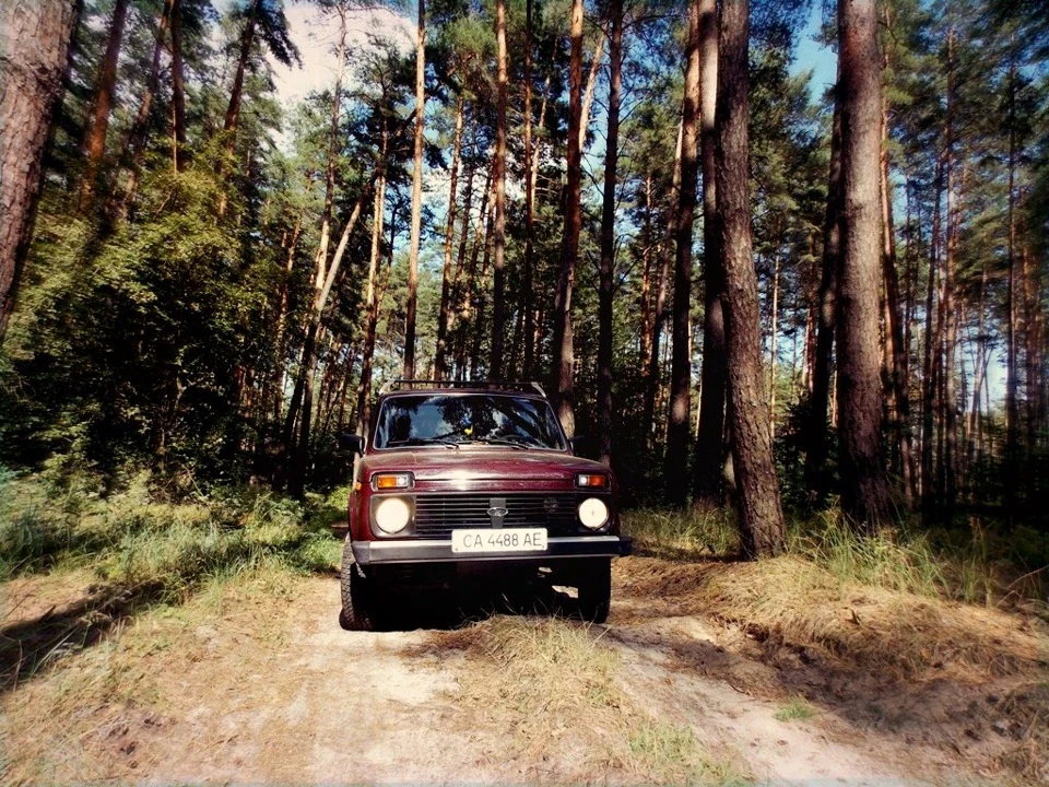 Лісова прогулянка)