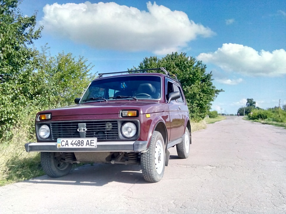літо у розпалі :) 5
