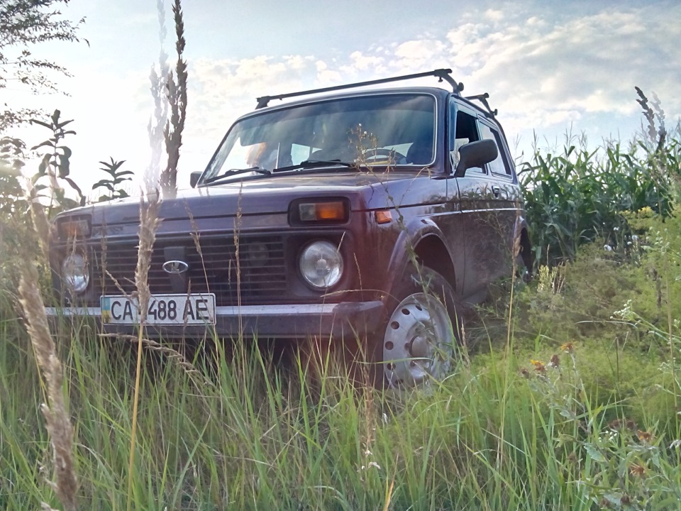 літо у розпалі :) 1