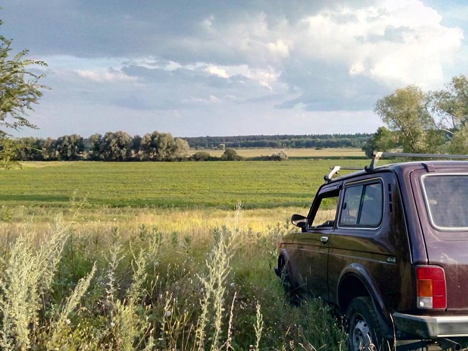літо у розпалі :) 2