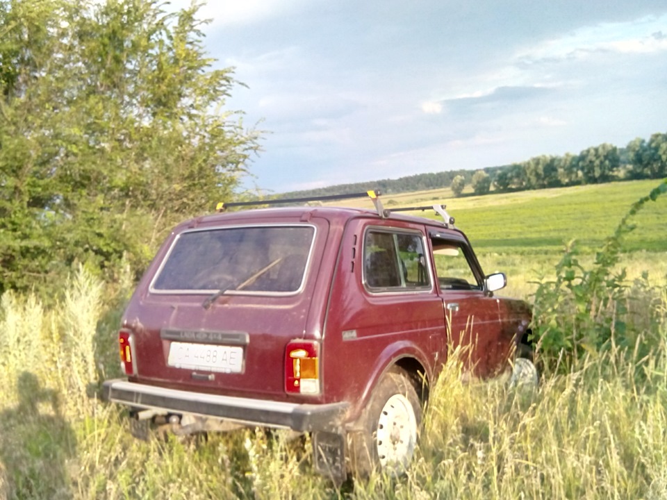 літо у розпалі :) 4