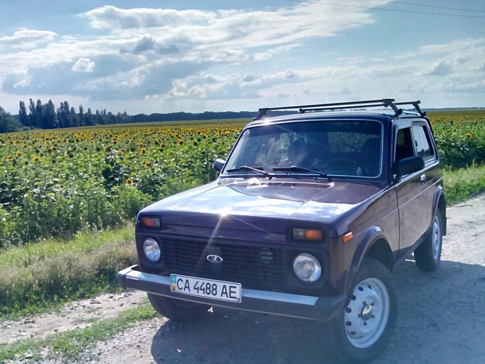 літо у розпалі :) 3