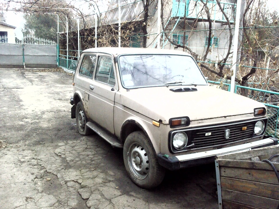Ось такий вона дісталася мені! 1