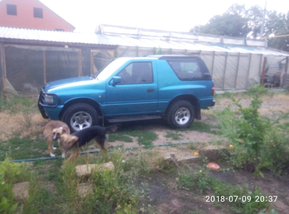Новий друг