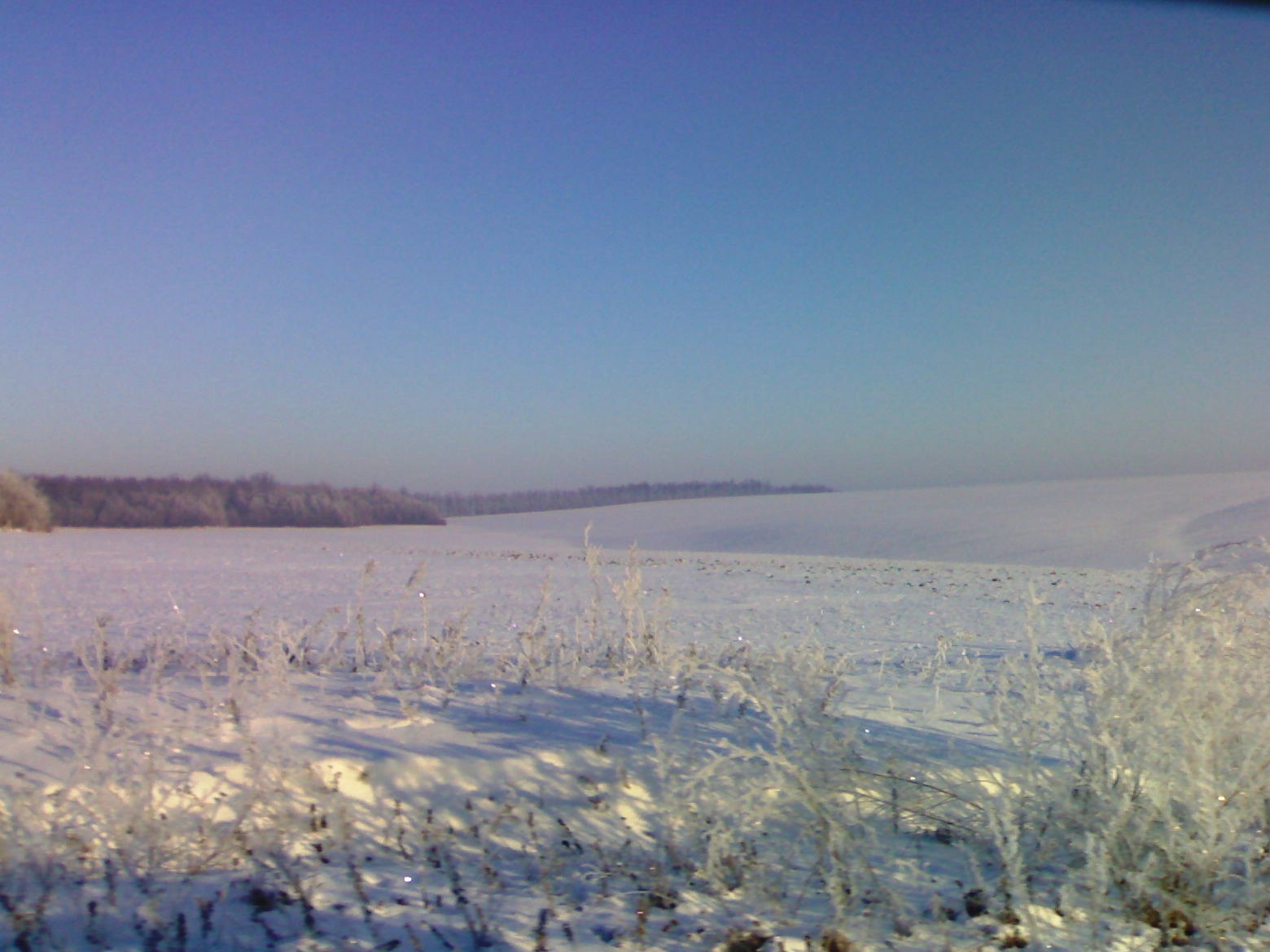 Фото зими 5