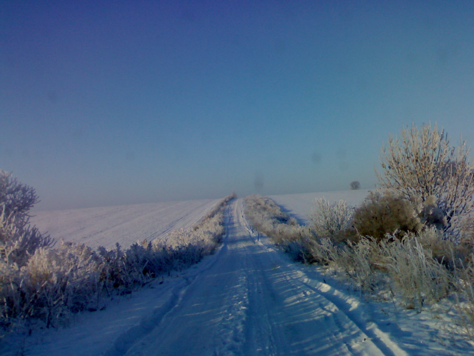Фото зими 1
