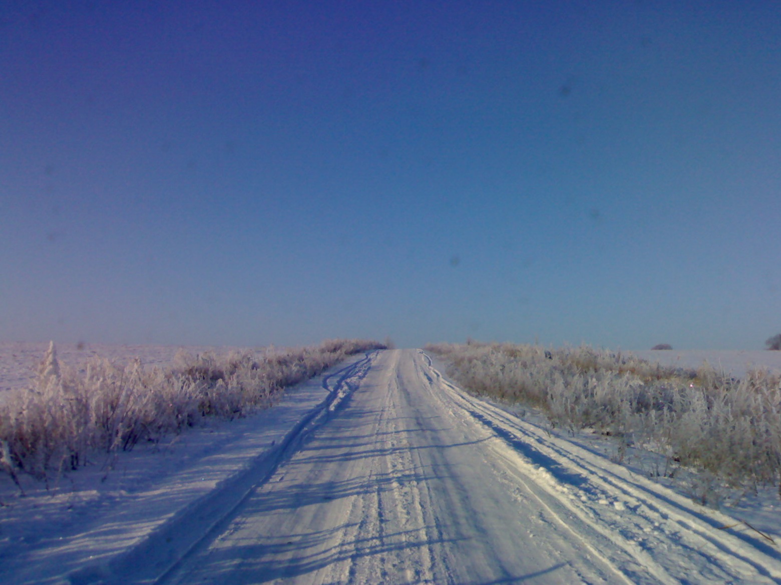 Фото зими 2