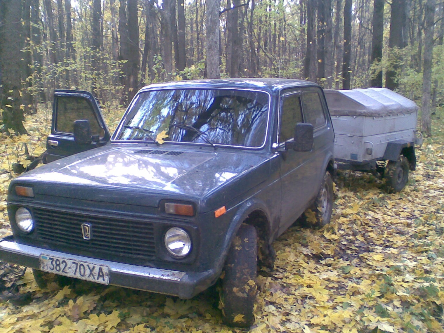 У лісі. 1