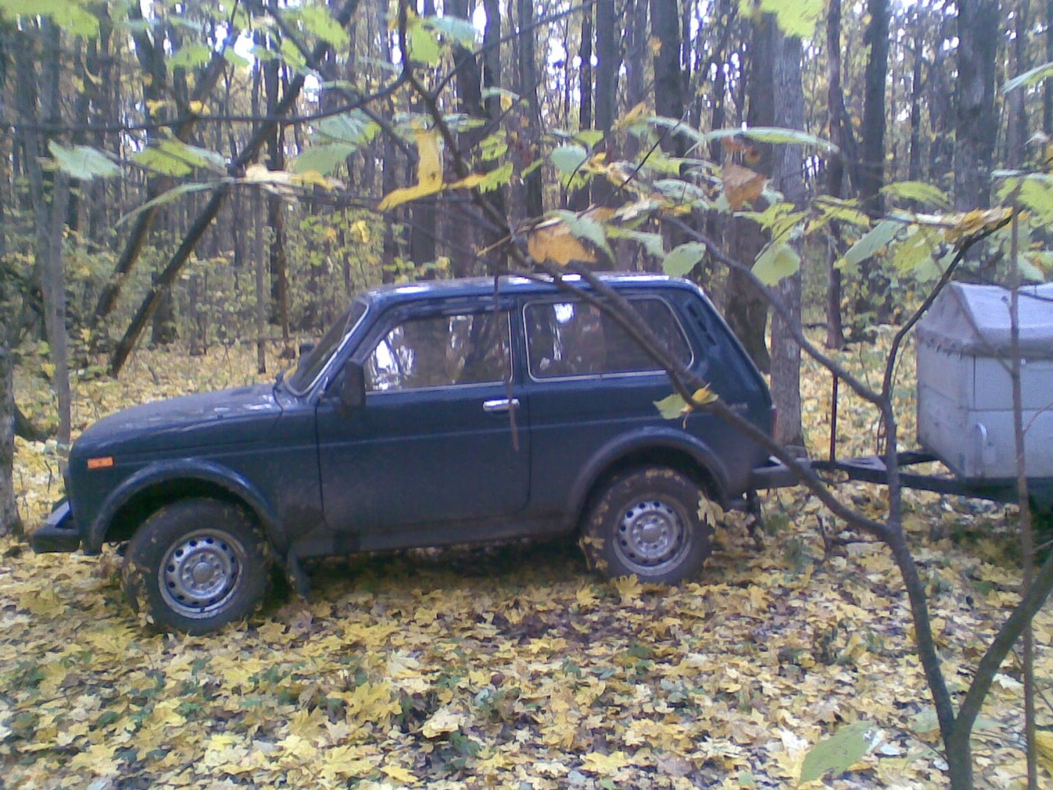 У лісі. 2