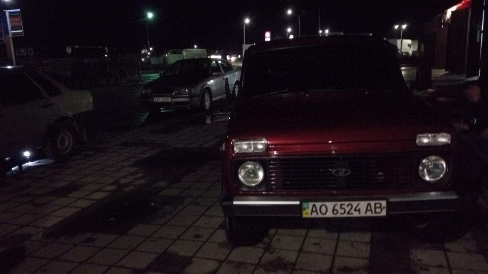 Помили після зими 1