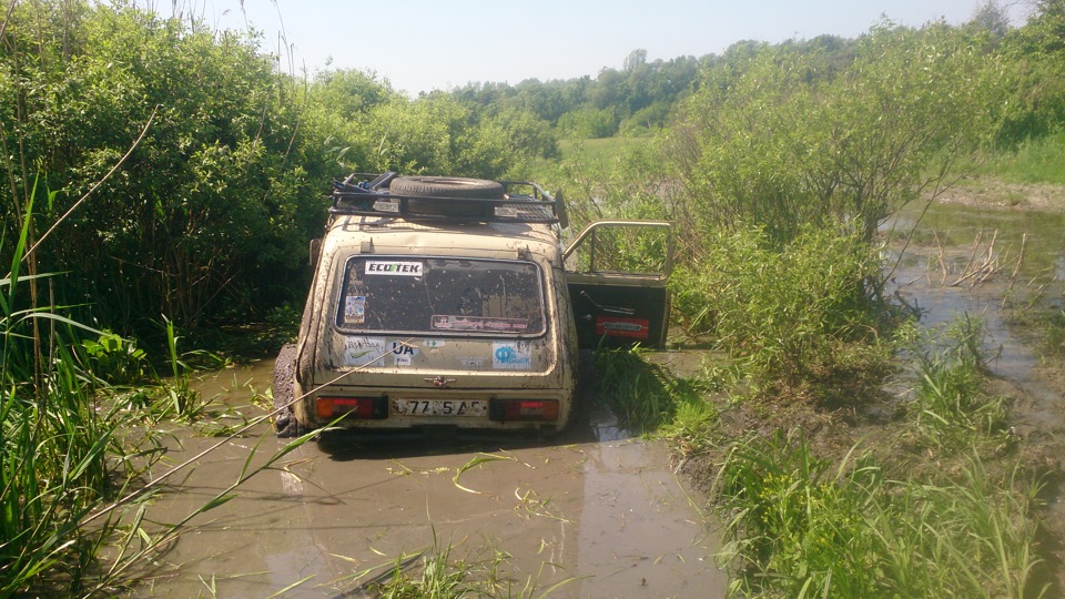 Нічого не віщувало біди, або як ми засадили все, що можна!)) 3