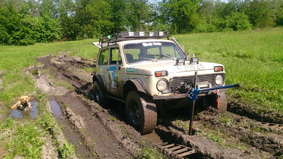 Нічого не віщувало біди, або як ми засадили все, що можна!))