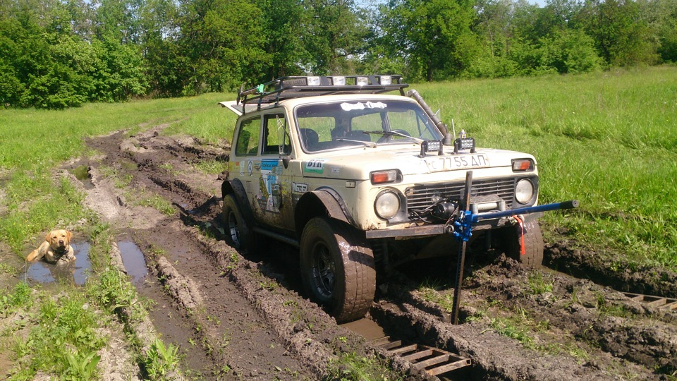 Нічого не віщувало біди, або як ми засадили все, що можна!)) 1