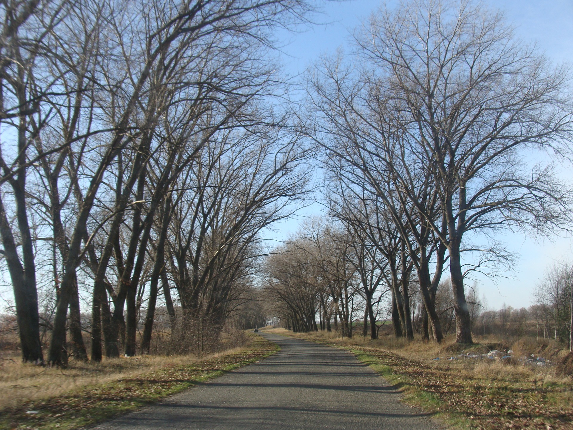 Гаплік Трофі 2010 13 місце з 37 2