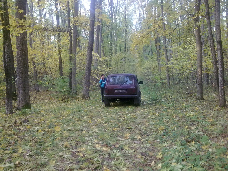 поїздка до лісу 5