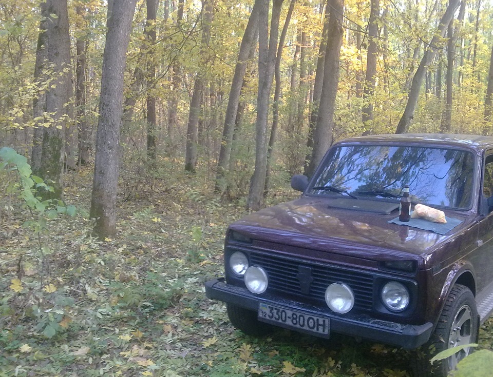 поїздка до лісу 1