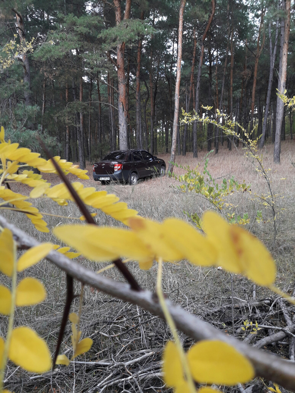 Фотосет 2