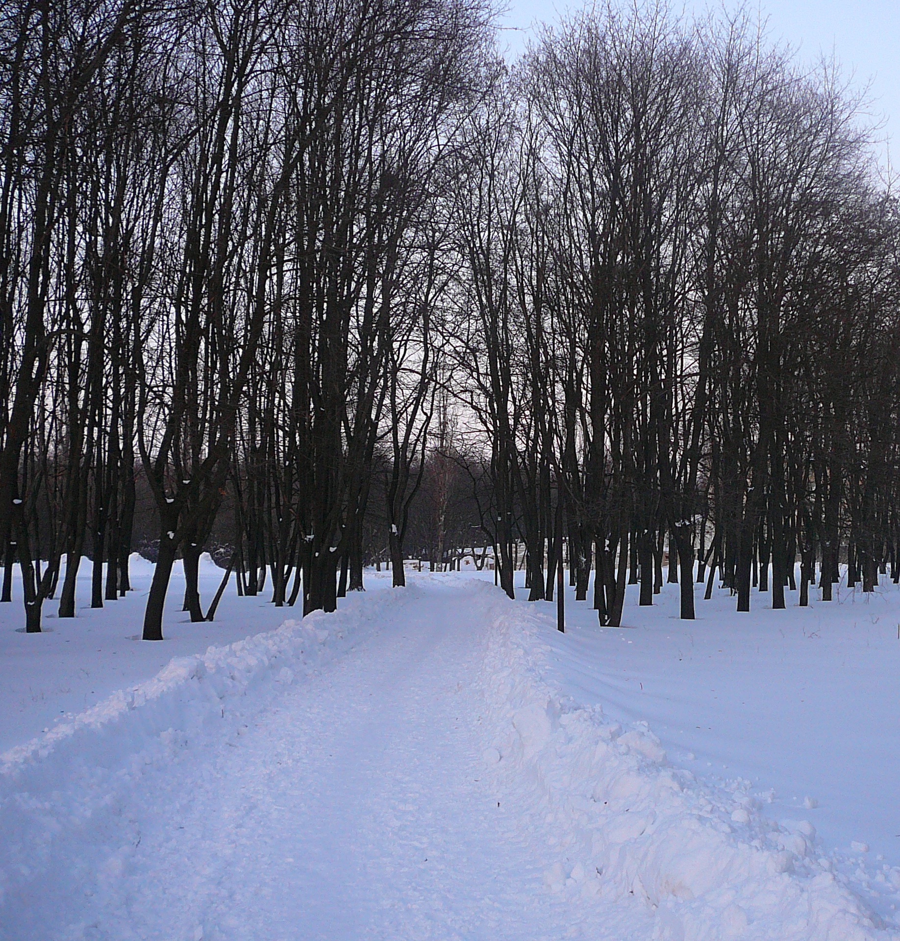 збірка фото 2