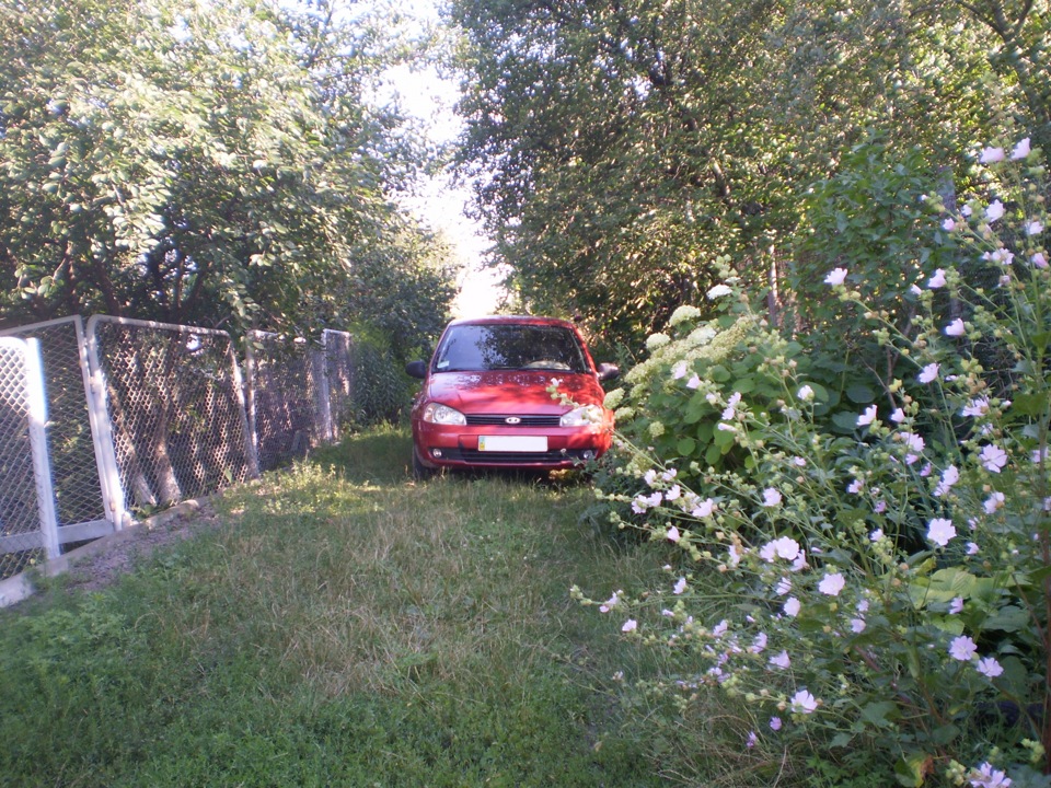 Фотографії 4
