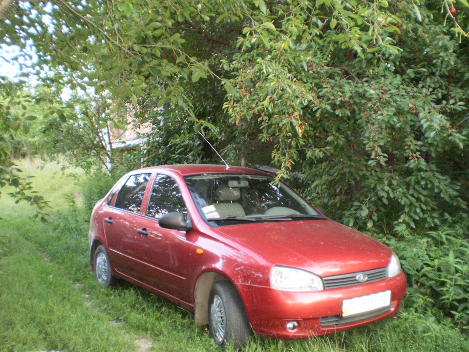 Фотографії 2