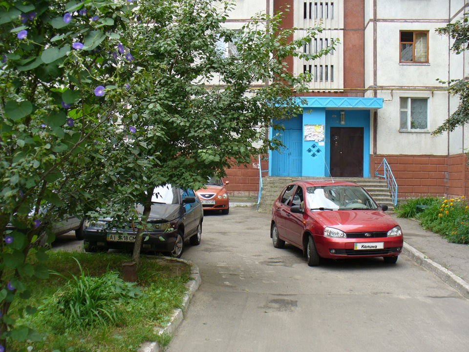 Весна 2012 1