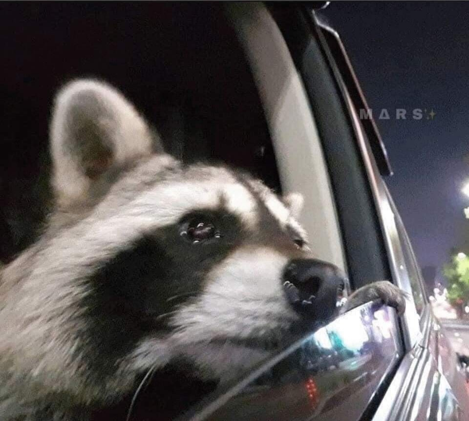 Помилки не вчать 😞, знову бензонасос. 2