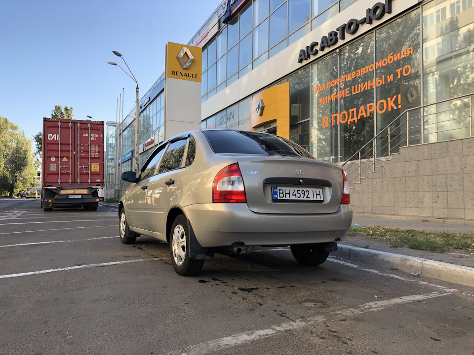 Калина продана 2