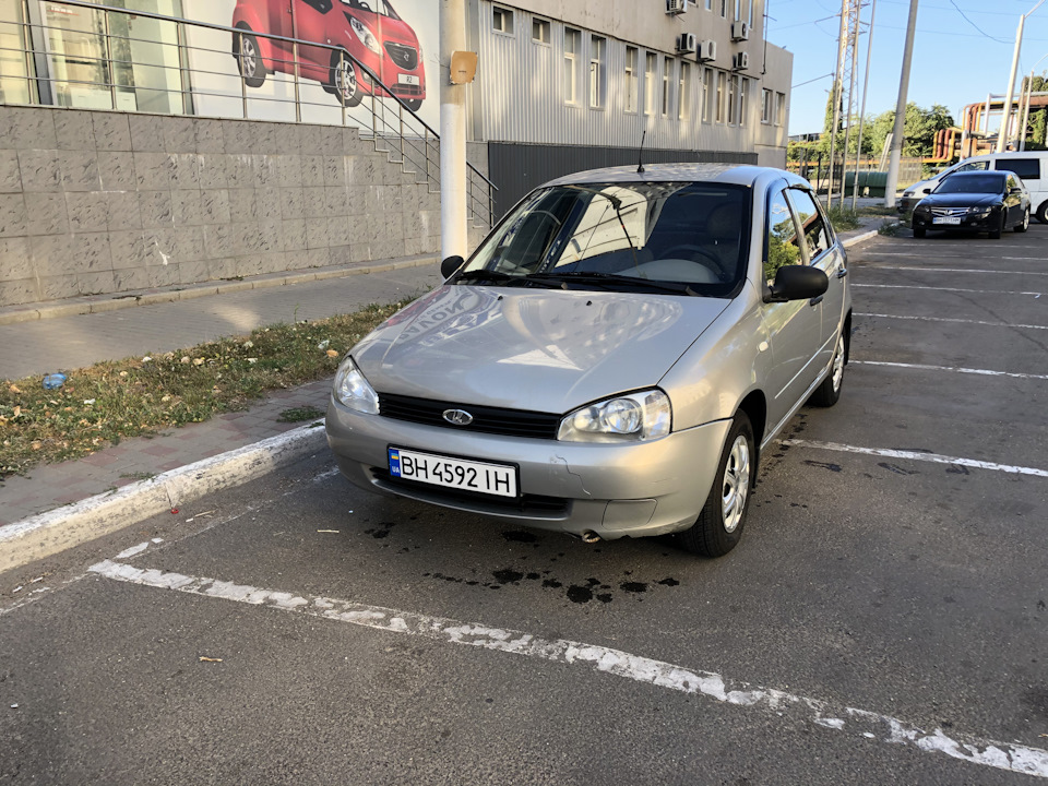 Продам калинку 2