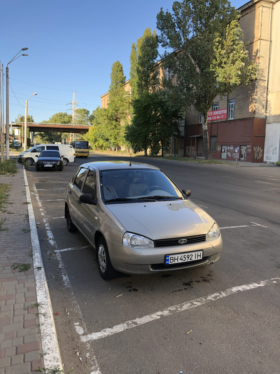 Продам калинку 1