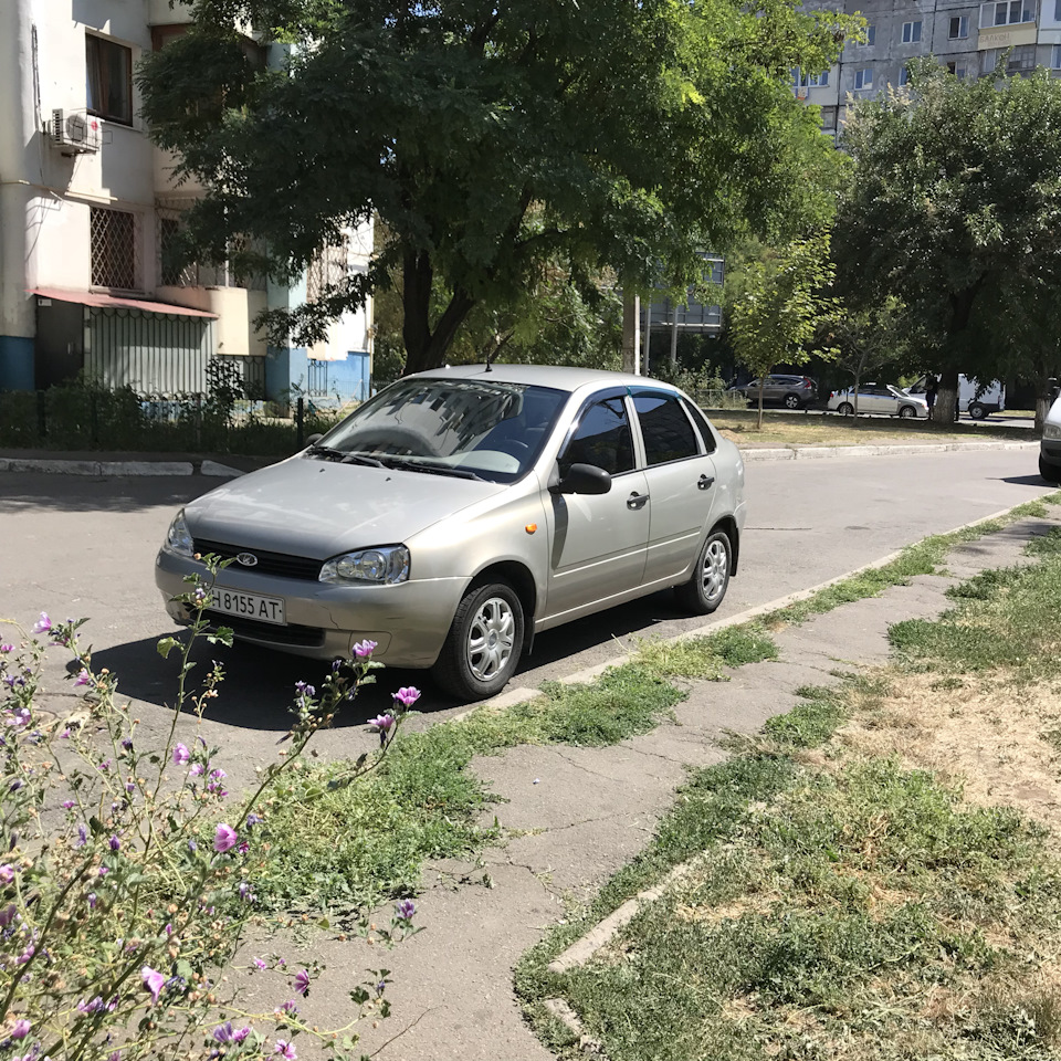 Тонування 4