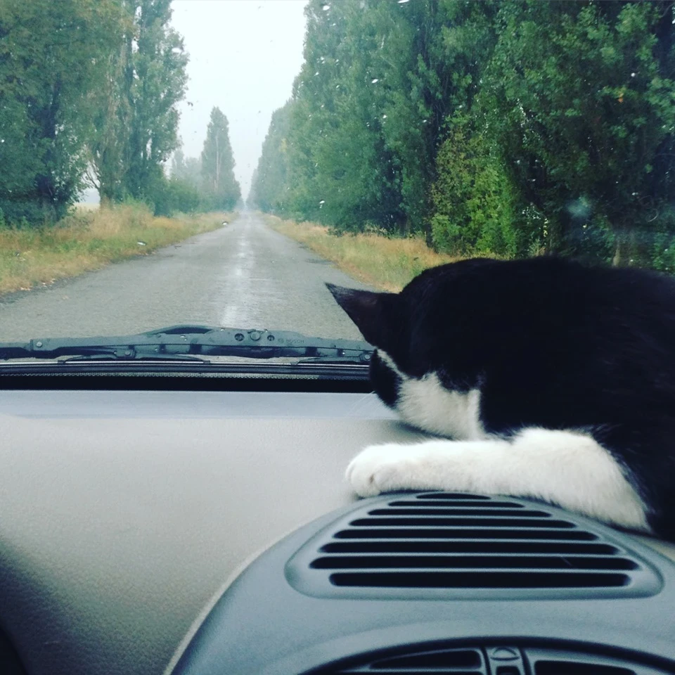 Зима близько ;-)