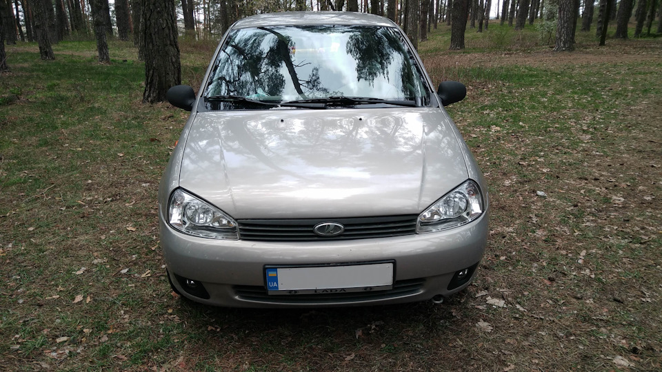 Виїзд на природу подихати 5