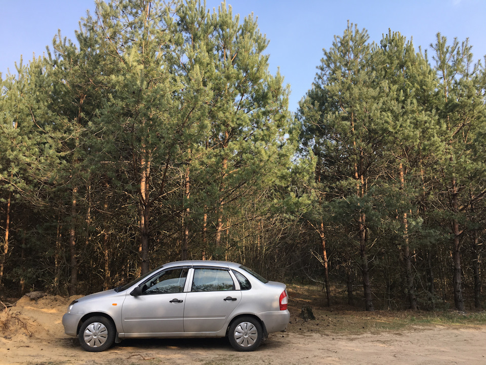 Дотримуємося карантин 😷🌲 1