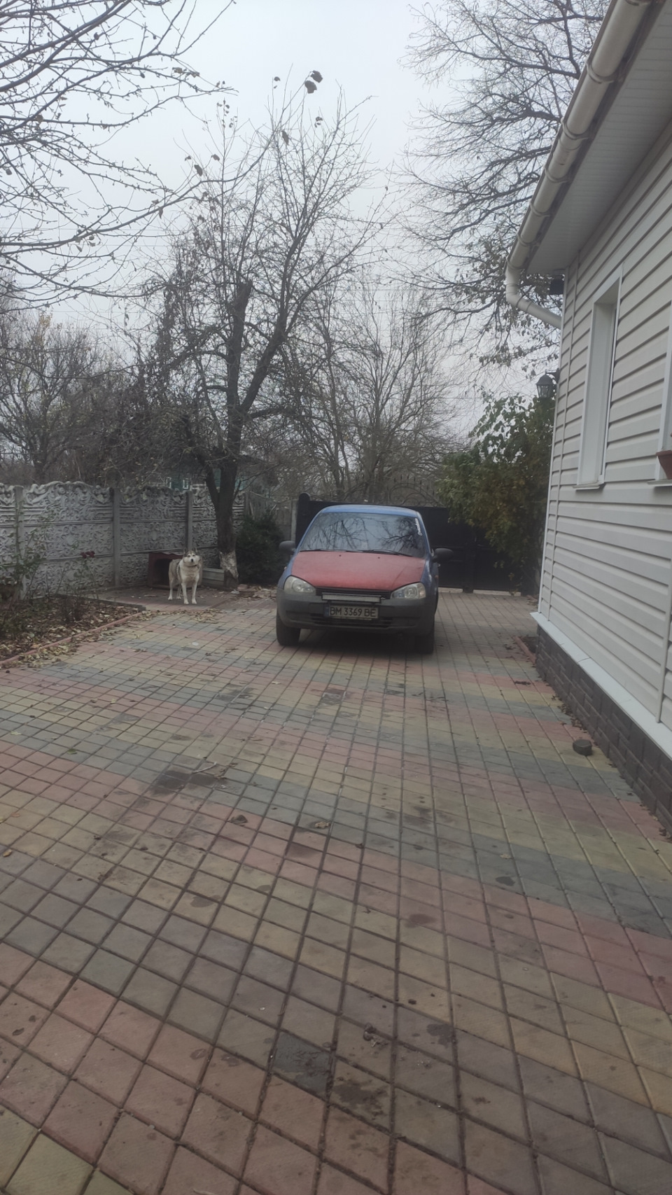 Лід калиновий промінь 1