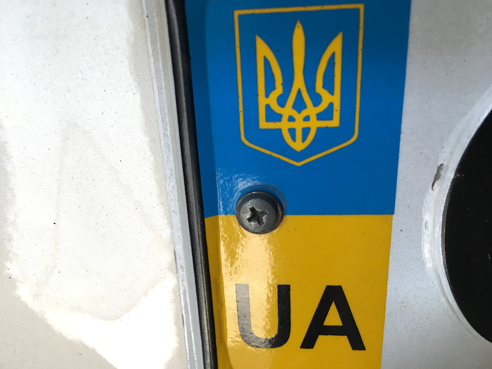 Саморізи кріплення номера з нержавіючої сталі 4