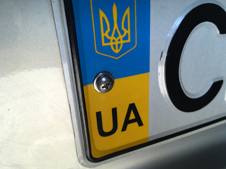 Саморізи кріплення номера з нержавіючої сталі 5
