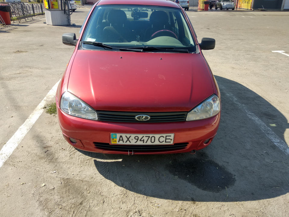 Продаж калинки 1
