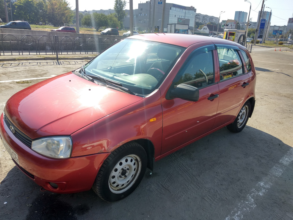 Продаж калинки 5
