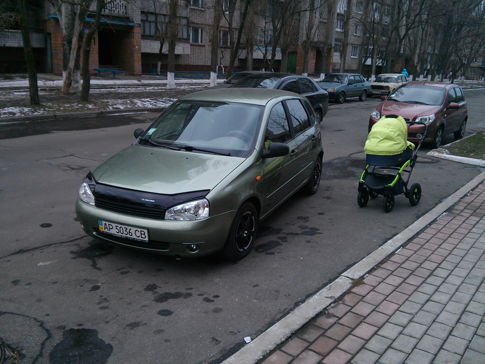 Бодрий Калінтос вже в строю 2