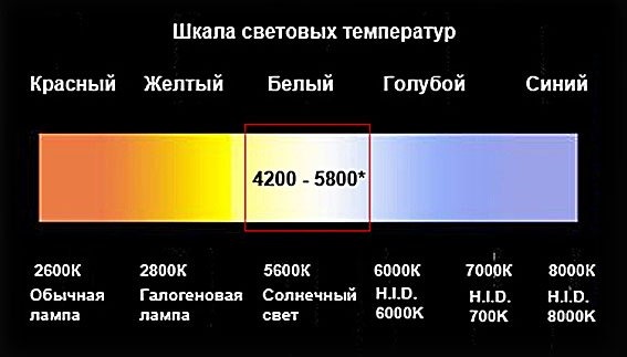 Нехай буде світло! XENON у Калині! 4