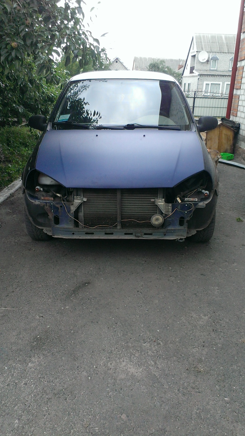 Фарбування фар 1