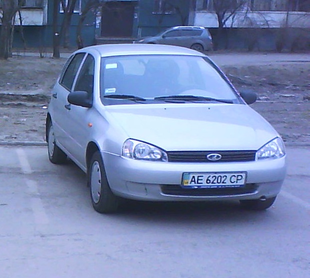 Калинка прокинулася після зимової сплячки в гаражі 2