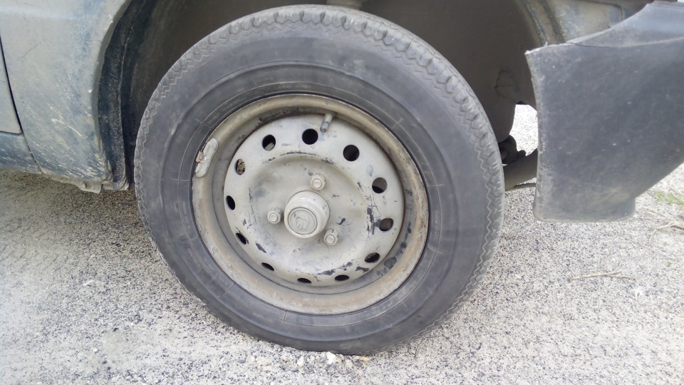 Покупка гуми 5