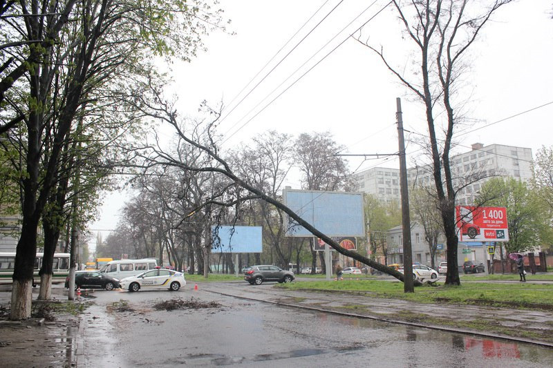 Зима навесні чи я такого ще не бачив 3