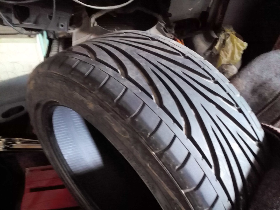 різа TOYO 1