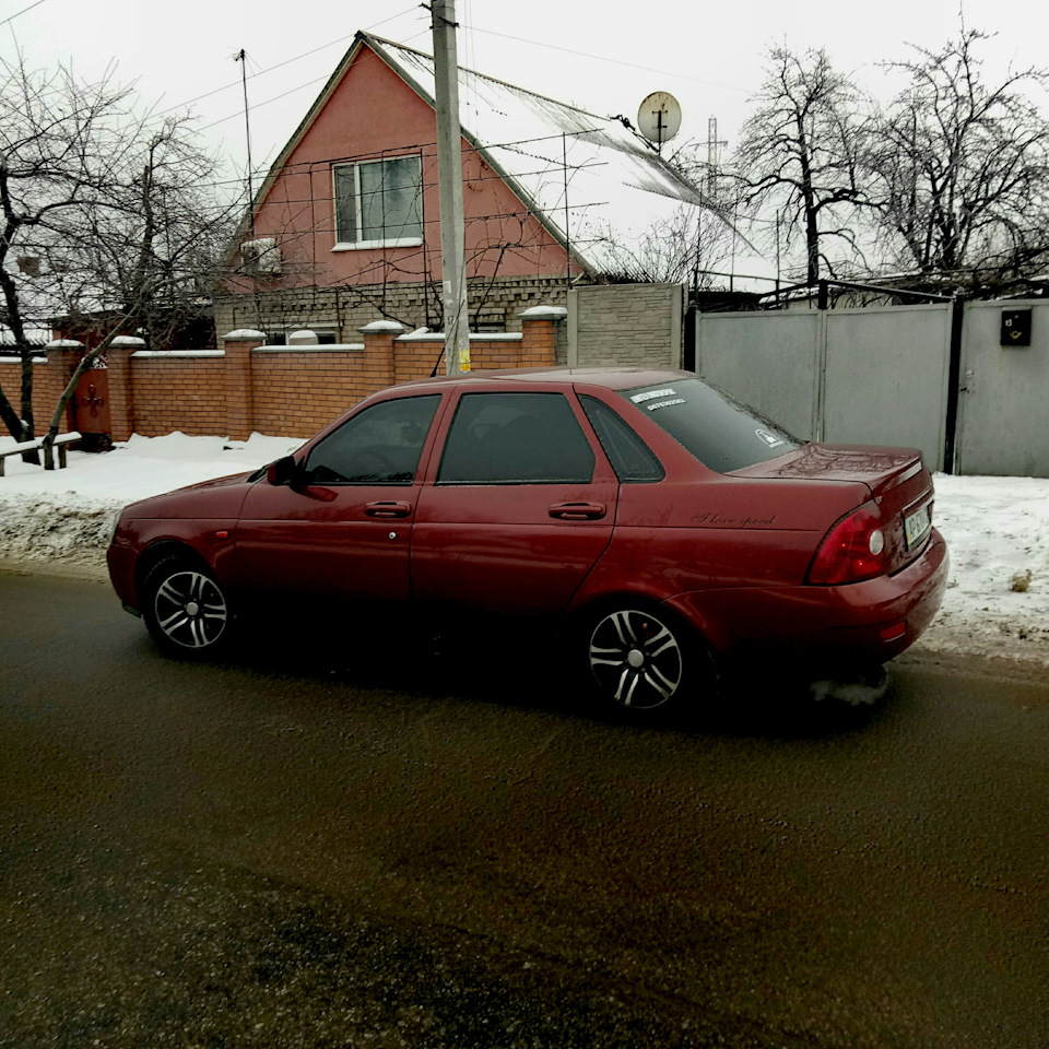 Євро ручки рись 1