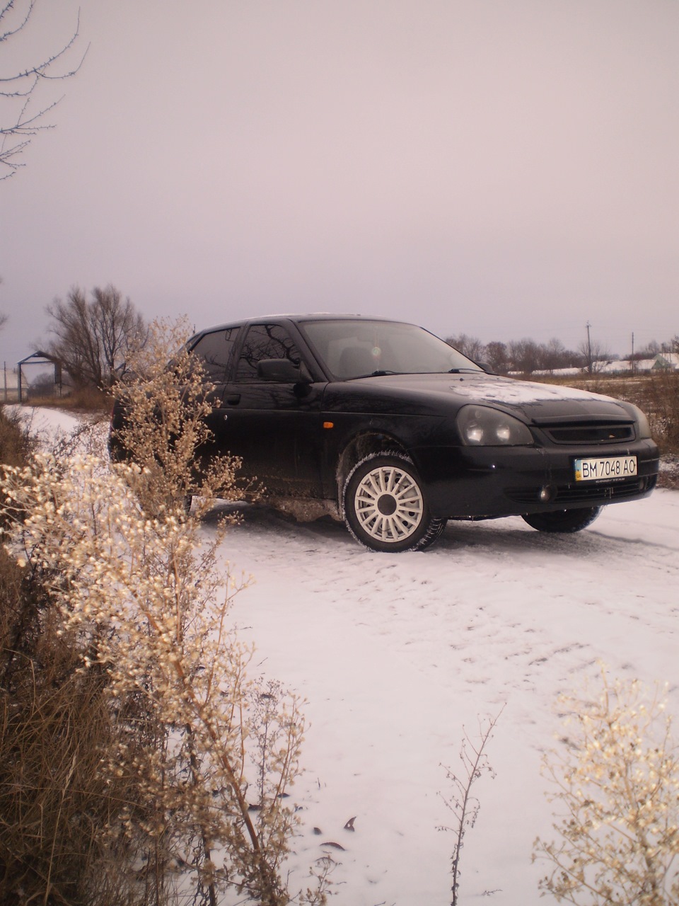 Перший сніг 19.11.14! 5