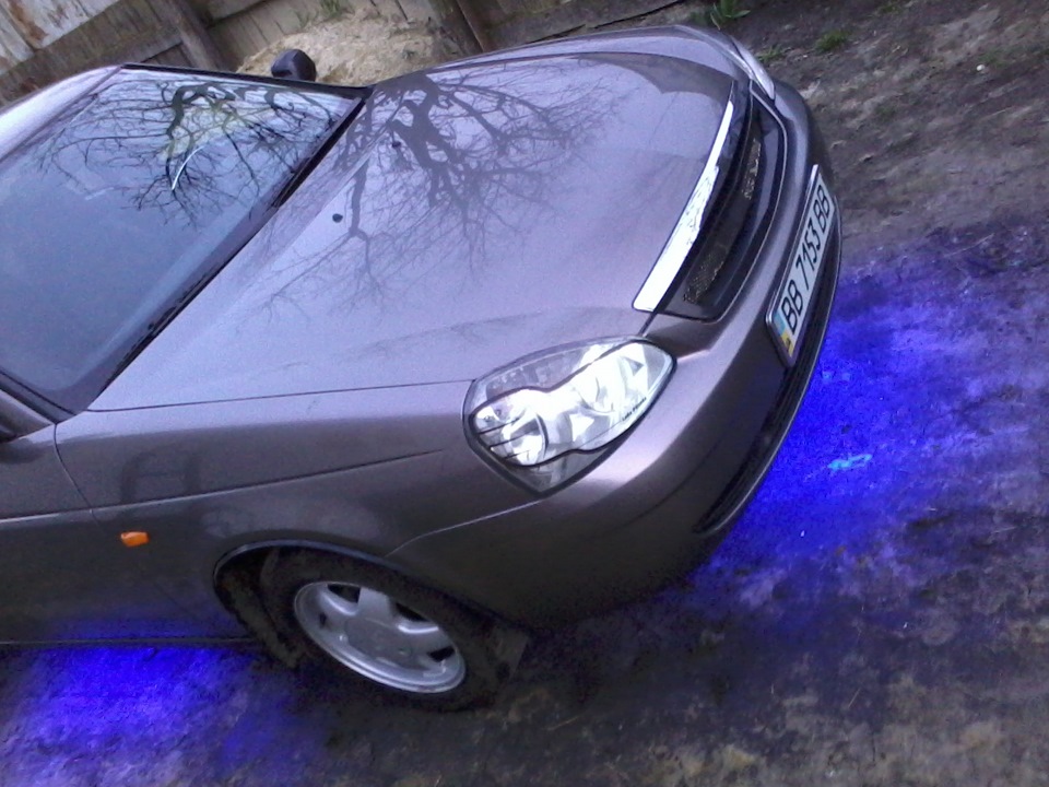 Літо 2012 4