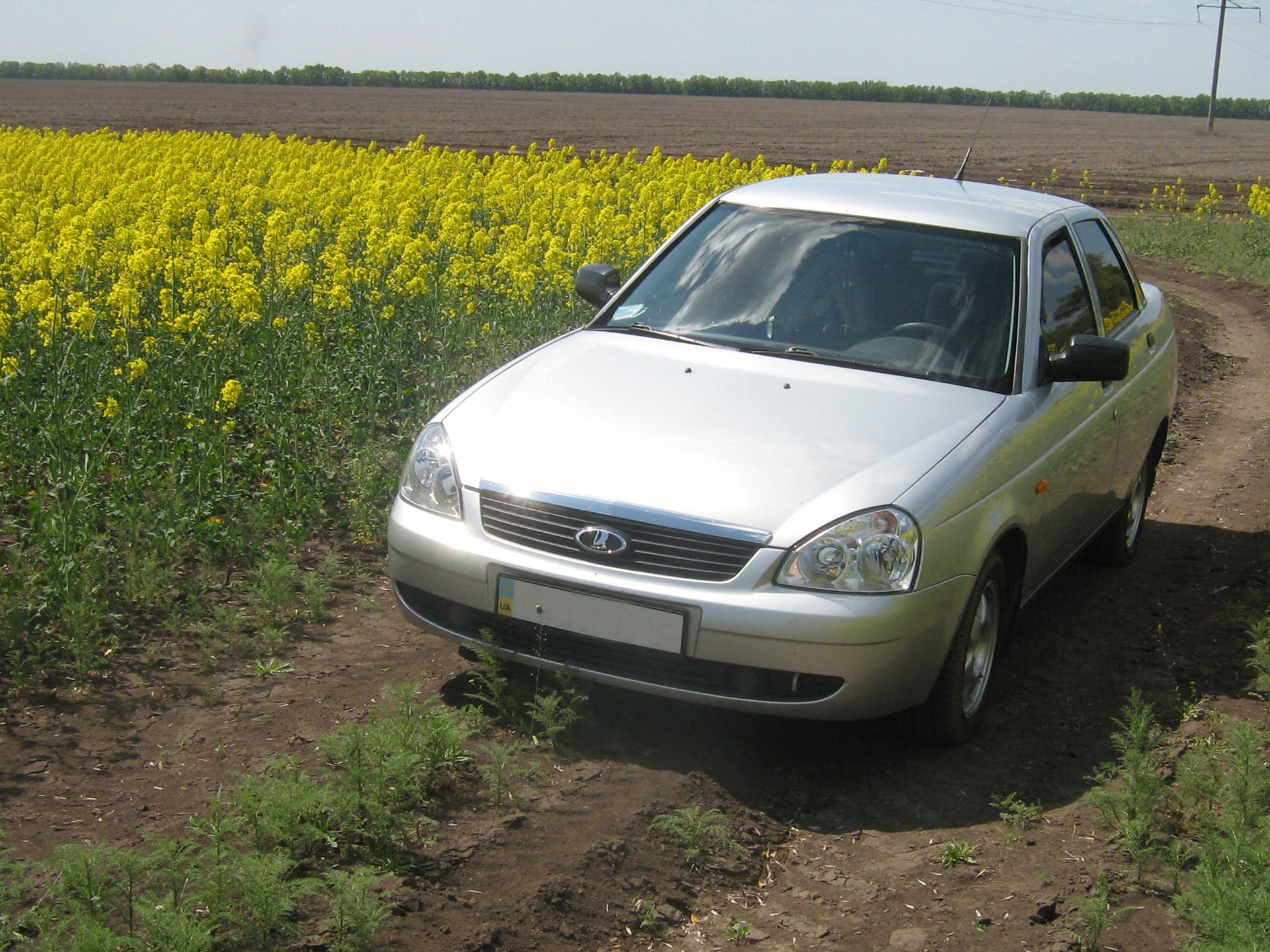Весна 2011 3